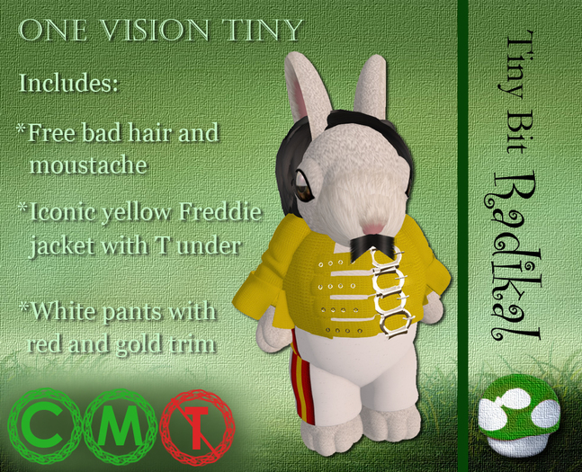One Vision Tiny