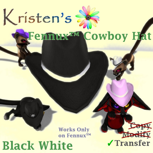 Kristen's @ - Fennux Cowboy Hat - Black White