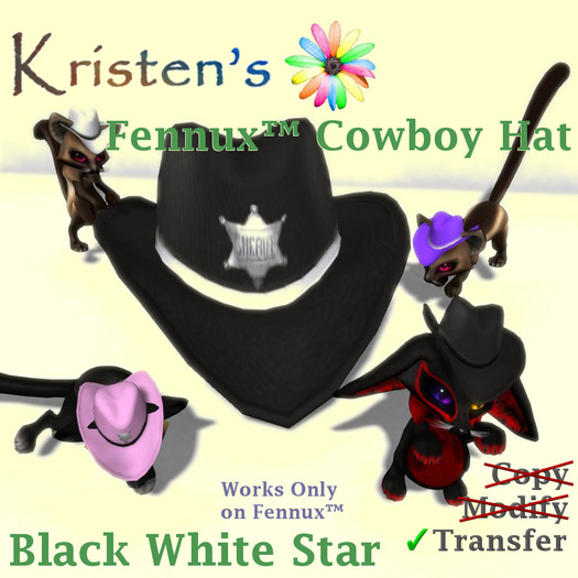Kristen's @ - Fennux Cowboy Hat - Black White Star