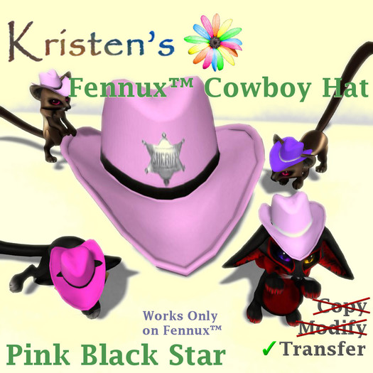 Kristen's @ - Fennux Cowboy Hat - Pink Black Star