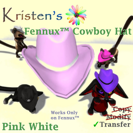 Kristen's @ - Fennux Cowboy Hat - Pink White