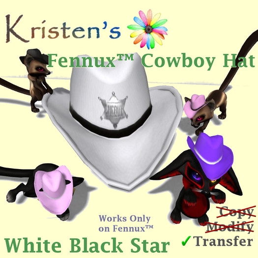 Kristen's @ - Fennux Cowboy Hat - White Black Star