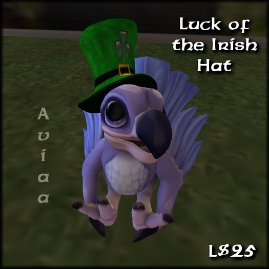 Luck of the Irish Hat (Aviaa) (boxed)