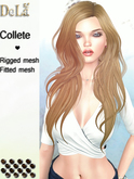 =DeLa*= Mesh Hair "Collete" Browns