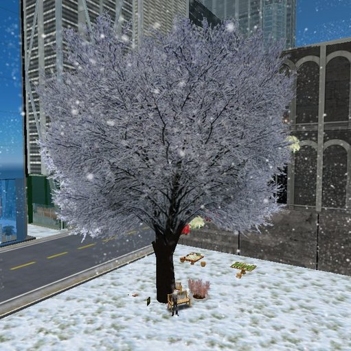 Snowy Tree (30m)