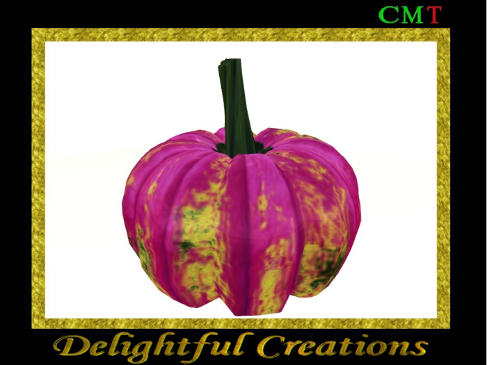 Pink Veregated Pumpkin