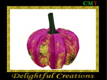 Pink Veregated Pumpkin