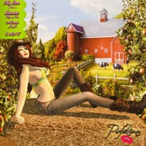 Perfection ~ Hay Bale (Pose 2)*