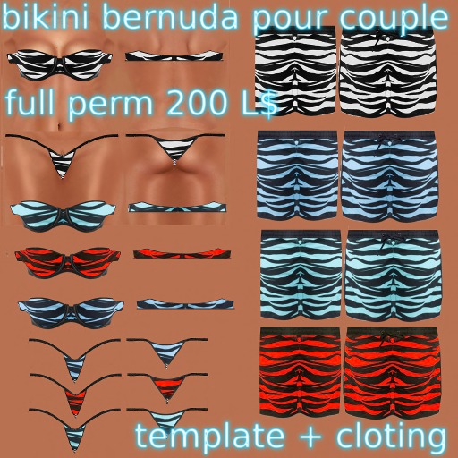 zebre pour couple 4 couleurs