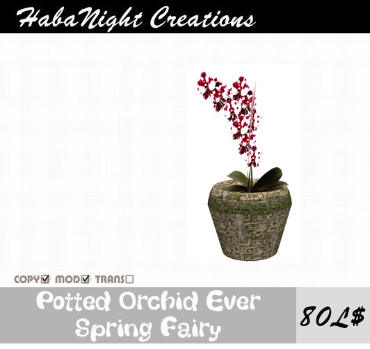 Potted Orchid Ever Spring Fairy/ COPY+MOD