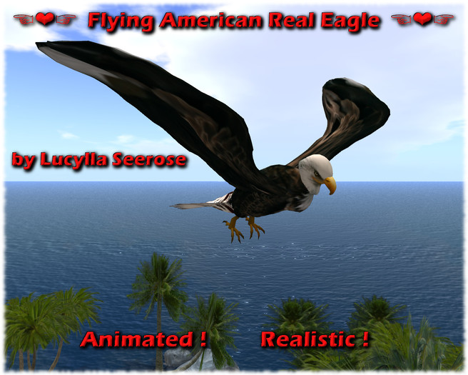 BoX ===> Flying American Real Eagle <=== by LS