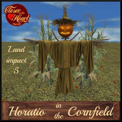 Horatio in the Cornfield ***