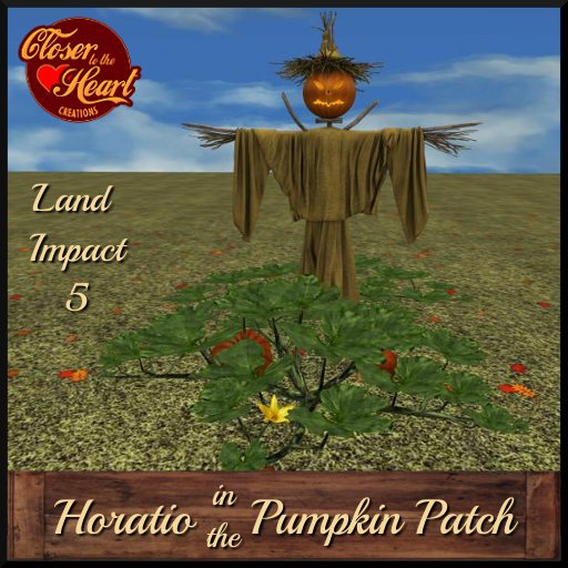 Horatio in the Pumpkin Patch ***
