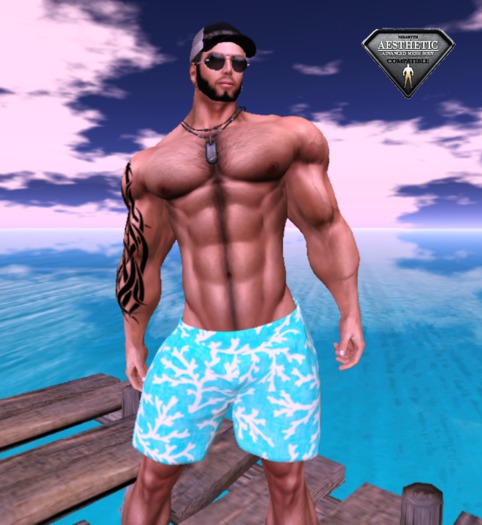 [D.Cavalieri] - Shorts Blue Sea