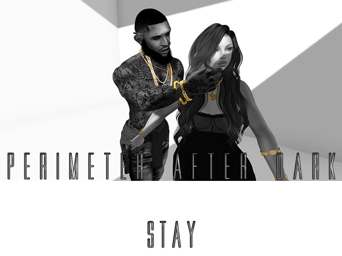 Perimeter After Dark - Stay