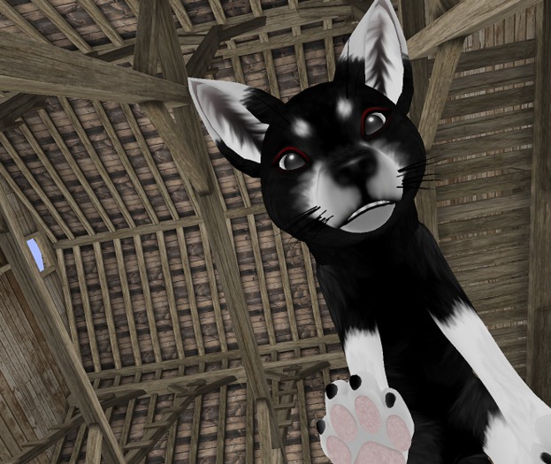 Ayon's Black Kitsune Mod for Red Remora Fox