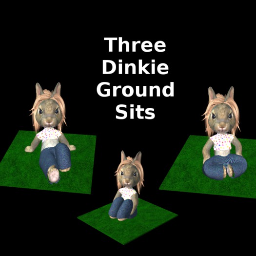Dinkie Ground Sits