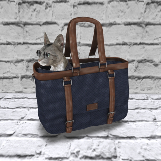 -David Heather-Cat in a Bag/Navy 6