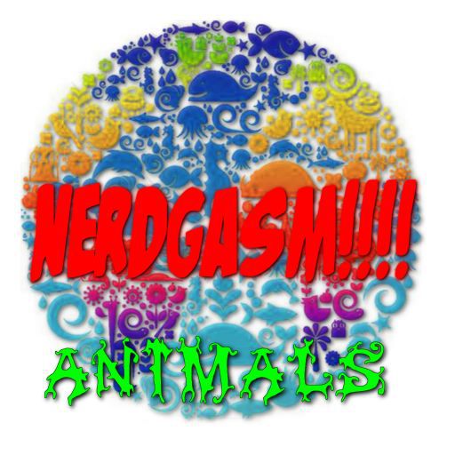 Nerdgasm Animals!!!- Beaver