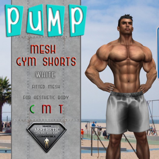 White Mesh Gym Shorts - Aesthetic