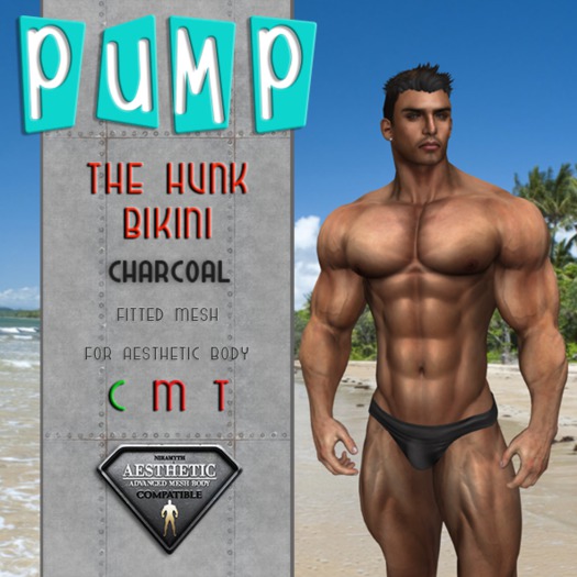 The Hunk Charcoal Bikini - Aesthetic