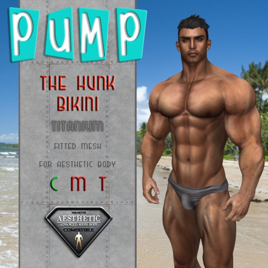 The Hunk Titanium Bikini - Aesthetic