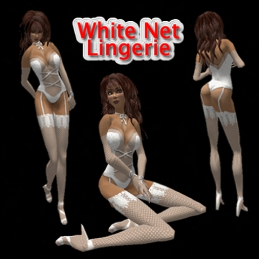 White Net Lingerie