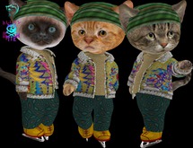 Dinkie Winter Forest Christmas Jacket Set