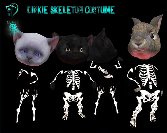 Dinkie Skeleton Costume