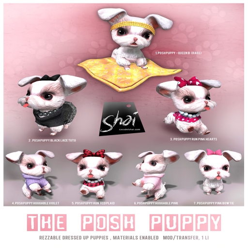 *Shai*  The Posh Puppy - Queen B RARE