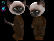 Dinkie Brown Leather Motorcycle Jacket Set