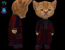 Dinkie Dark Red Embossed Leather Motorcycle Jacket Set