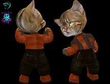 Dinkie Orange Vacuum Embossed Motorcycle Jacket Set