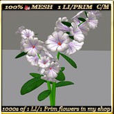 LW_ Potted Coleus Plant Mesh - Blue 1