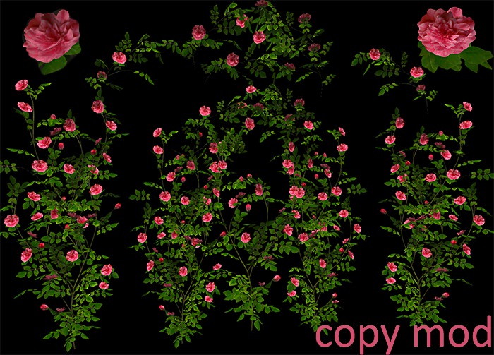 Climbing Rose Pack - Pink - Copy Mod