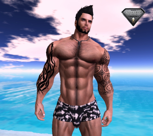 [D.Cavalieri] - SWM Shorts Boxer - Dead Fishs - Fitted Mesh
