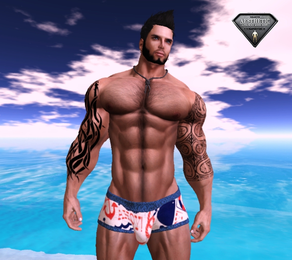 [D.Cavalieri] -SWM Shorts - Sailor´s Sea - Fitted Mesh 