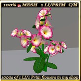 LW_ Potted Coleus Plant Mesh - Blue 1