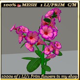 LW_ Potted Coleus Plant Mesh - Blue 1