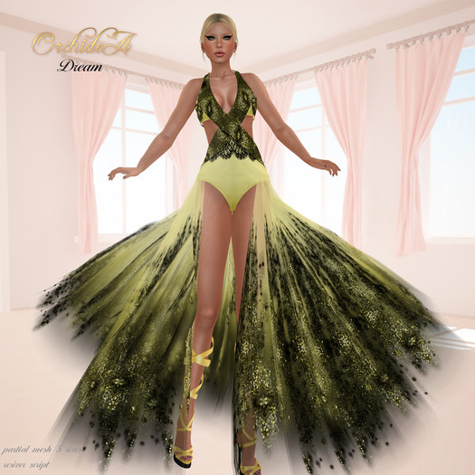 ** Orchidea** DREAM gold