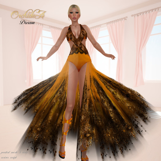 ** Orchidea** DREAM orange