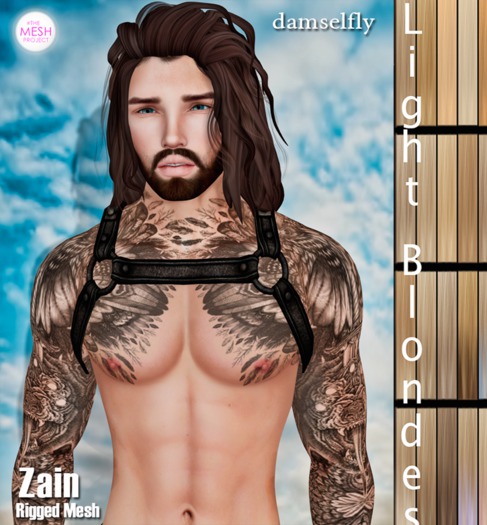 *~*Damselfly*~*Rainah Mesh Tropic