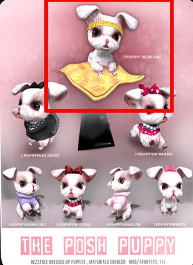 *Shai*  The Posh Puppy - Queen B RARE
