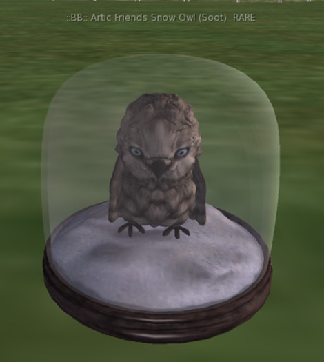 ::BB:: Artic Friends Snow Owl (Soot)  RARE_BOXED
