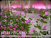 Truchet silver birch and aubretia summer a3