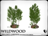 Truchet silver birch and aubretia ref1