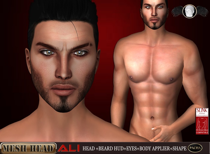 -PachaEwing- Mesh Head "Ali"Slink body