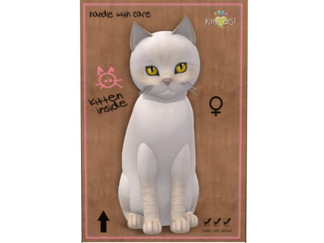 KittyCatS Box - 5T F Balinese Cream Lynx
