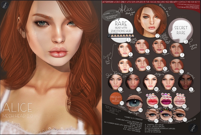 20 HUD_Genesis_Lab_EYELINERS