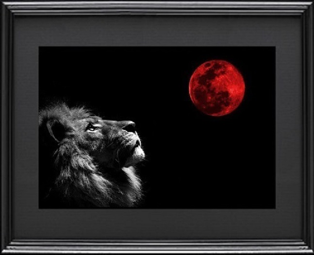 Jama's Decor Lion with Red Moon